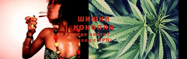 мдпв Пестово