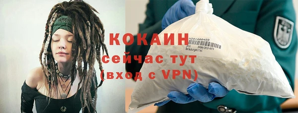 мдпв Пестово