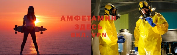 мдпв Пестово