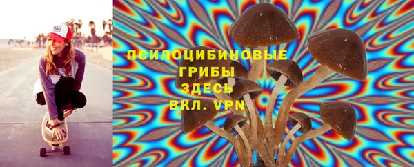 амф Переславль-Залесский
