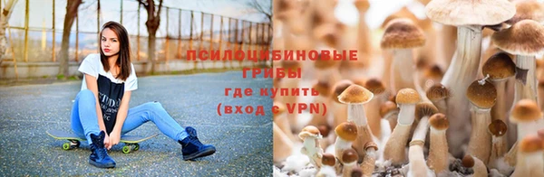 дистиллят марихуана Пересвет