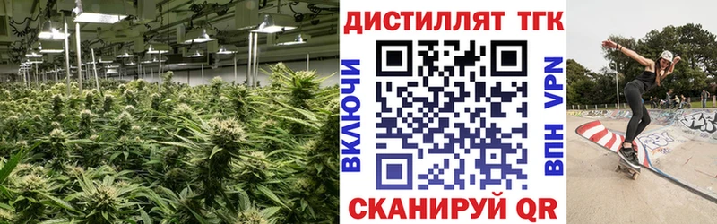 где можно купить   Аркадак  Дистиллят ТГК концентрат 