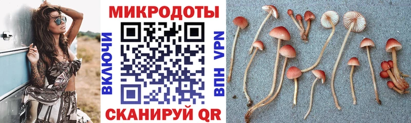 Галлюциногенные грибы Psilocybe  купить  сайты  Аркадак 